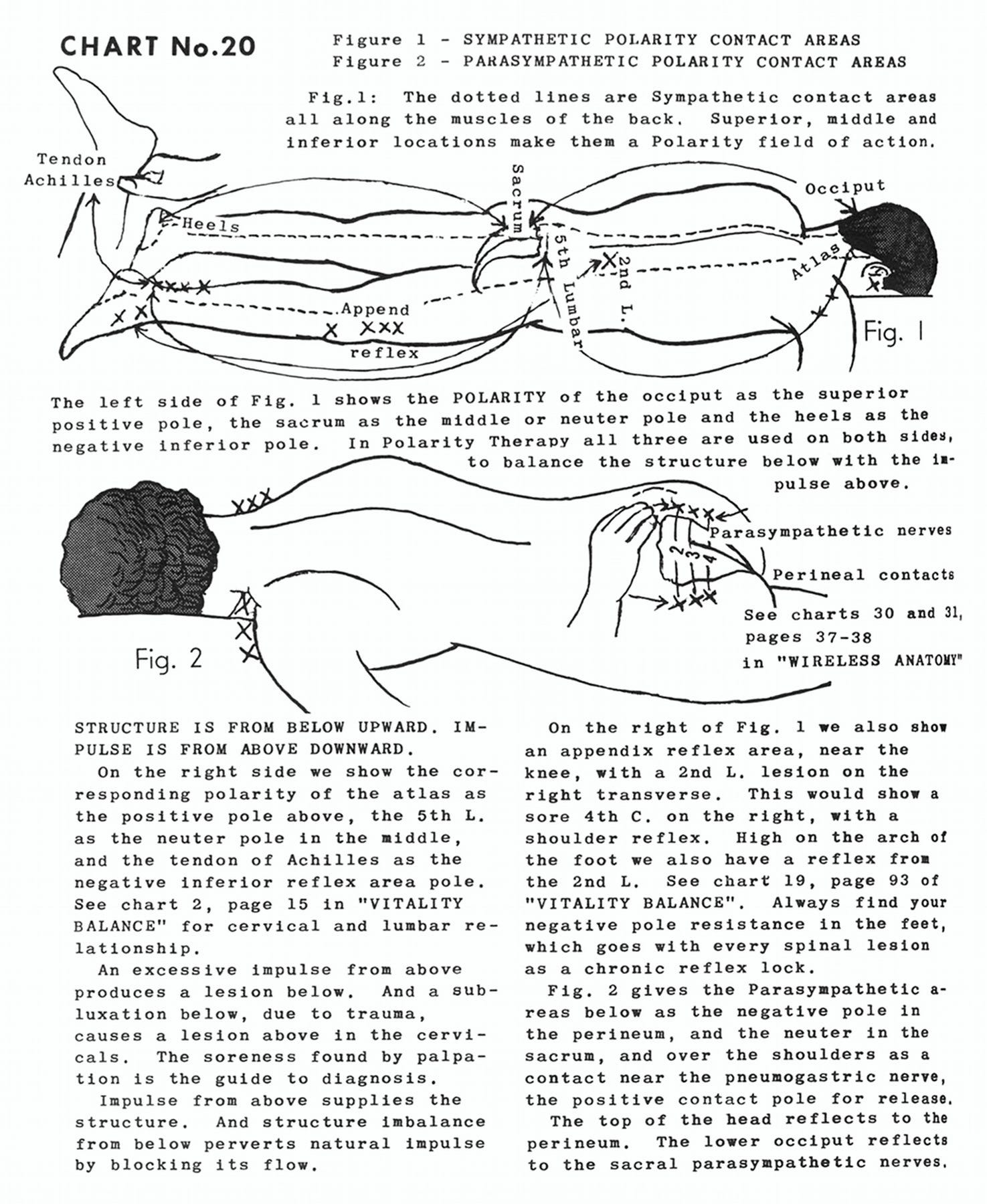 Polarity Therapy Charts