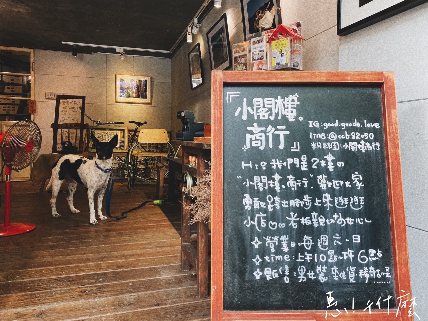 和 好珈琲店 相機與咖啡的邂逅 藏身巷弄的文青咖啡館 高雄咖啡館 惠 吃什麼 By 蘇郁惠 Medium
