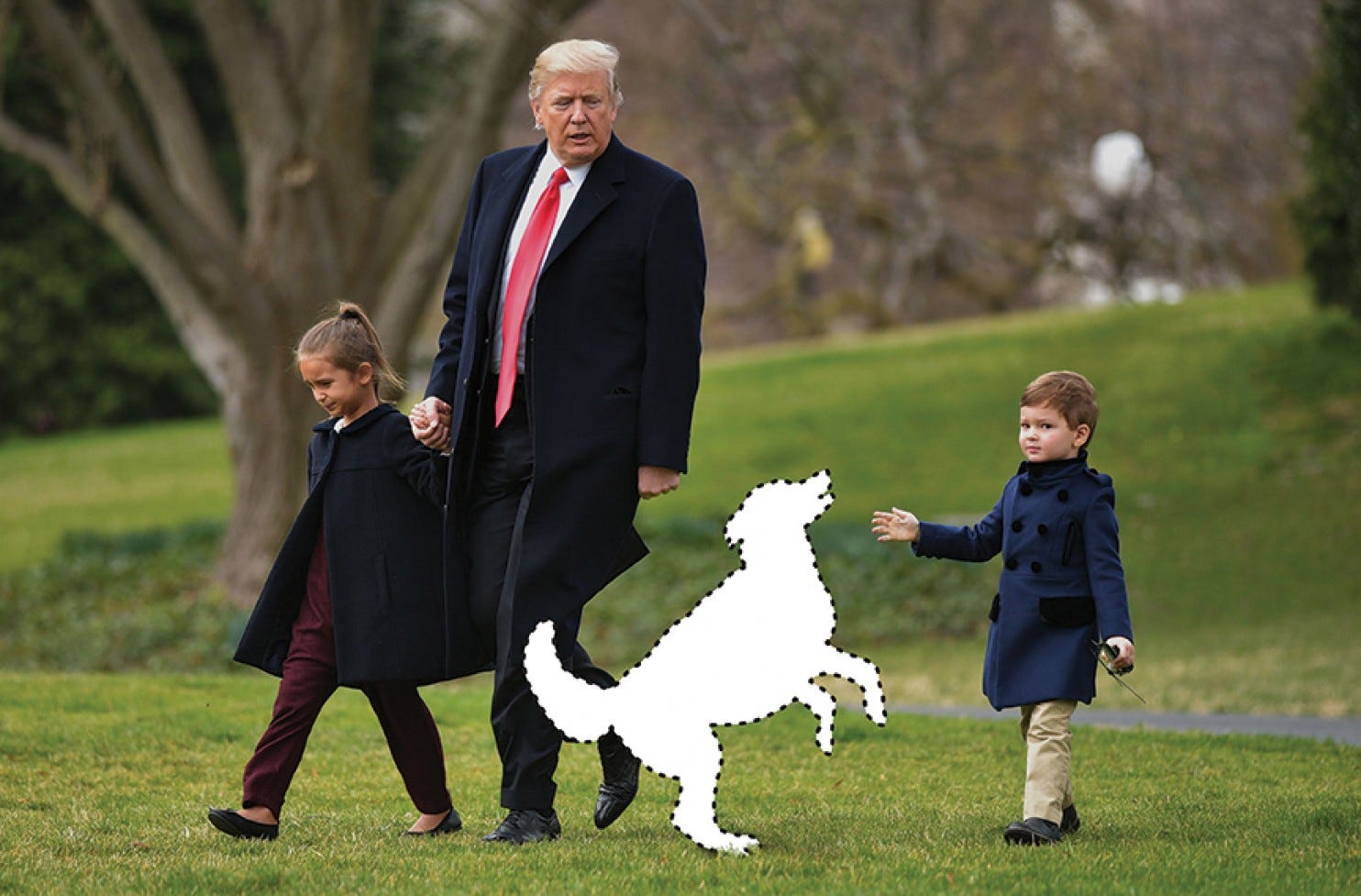 The Very Best Dogs of the Trump White House Rated. Chaco Daniel Medium
