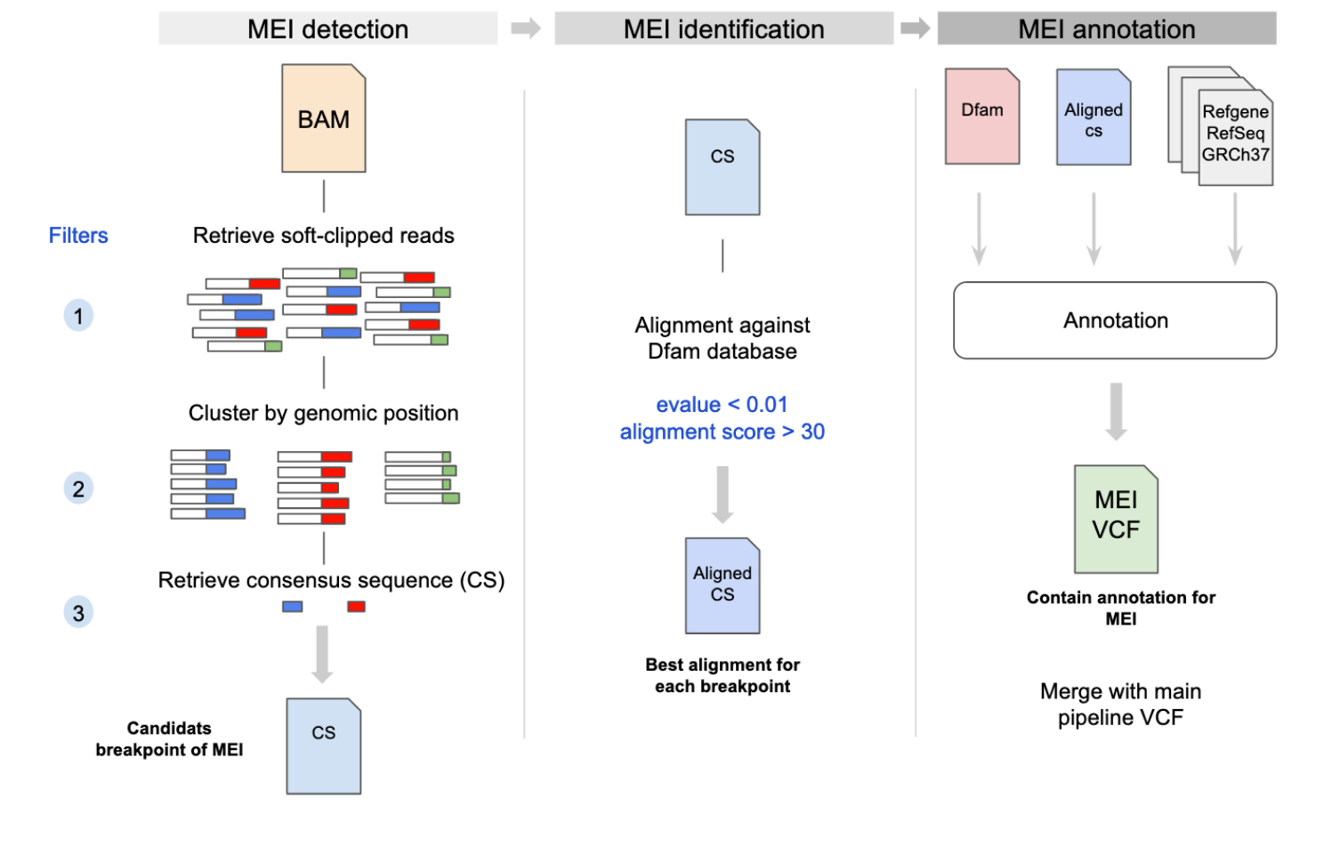 Mobile element insertion (MEI) detection for NGS based clinical diagnostics