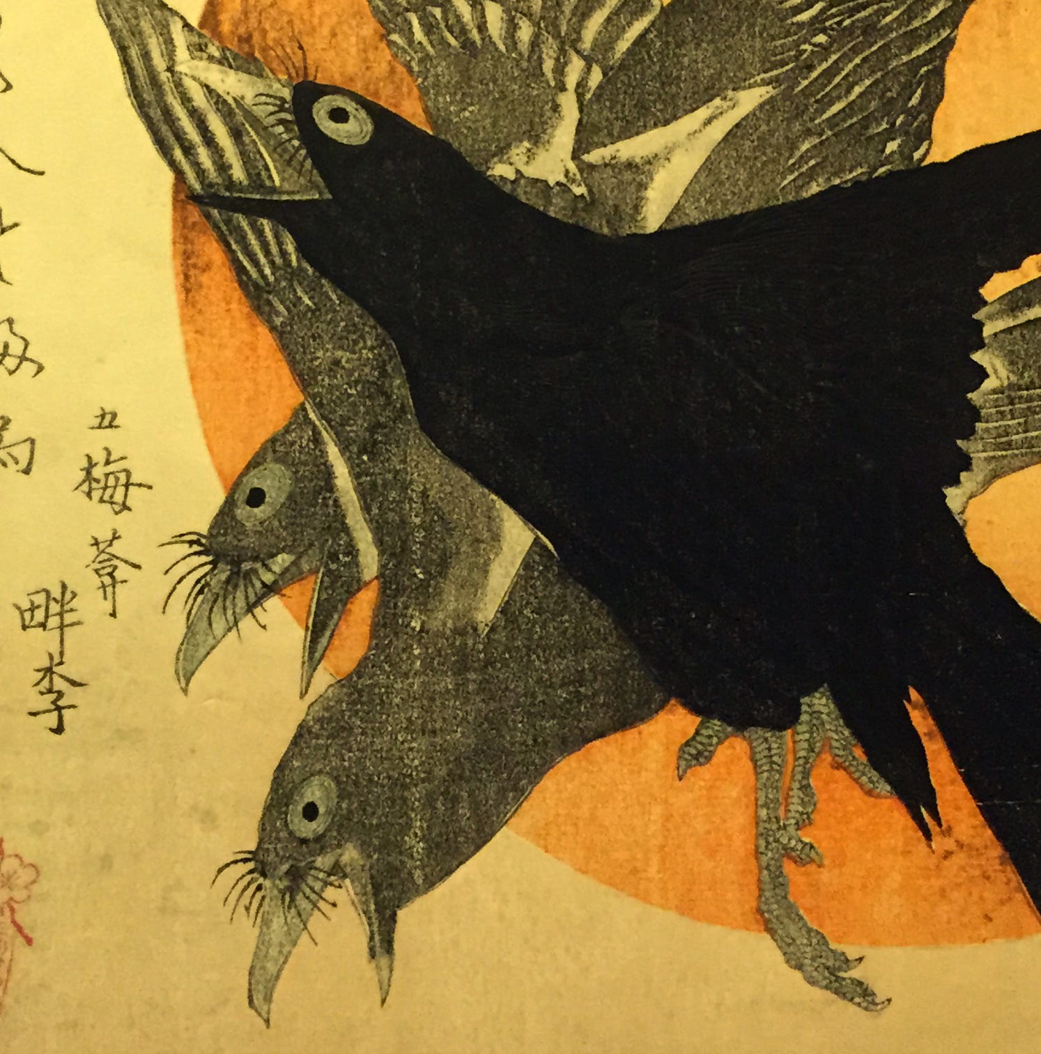 Ted Hughes Crow S Fall When Crow Was White He Decided The Sun By Tania Sheko Poem Of The Day Medium