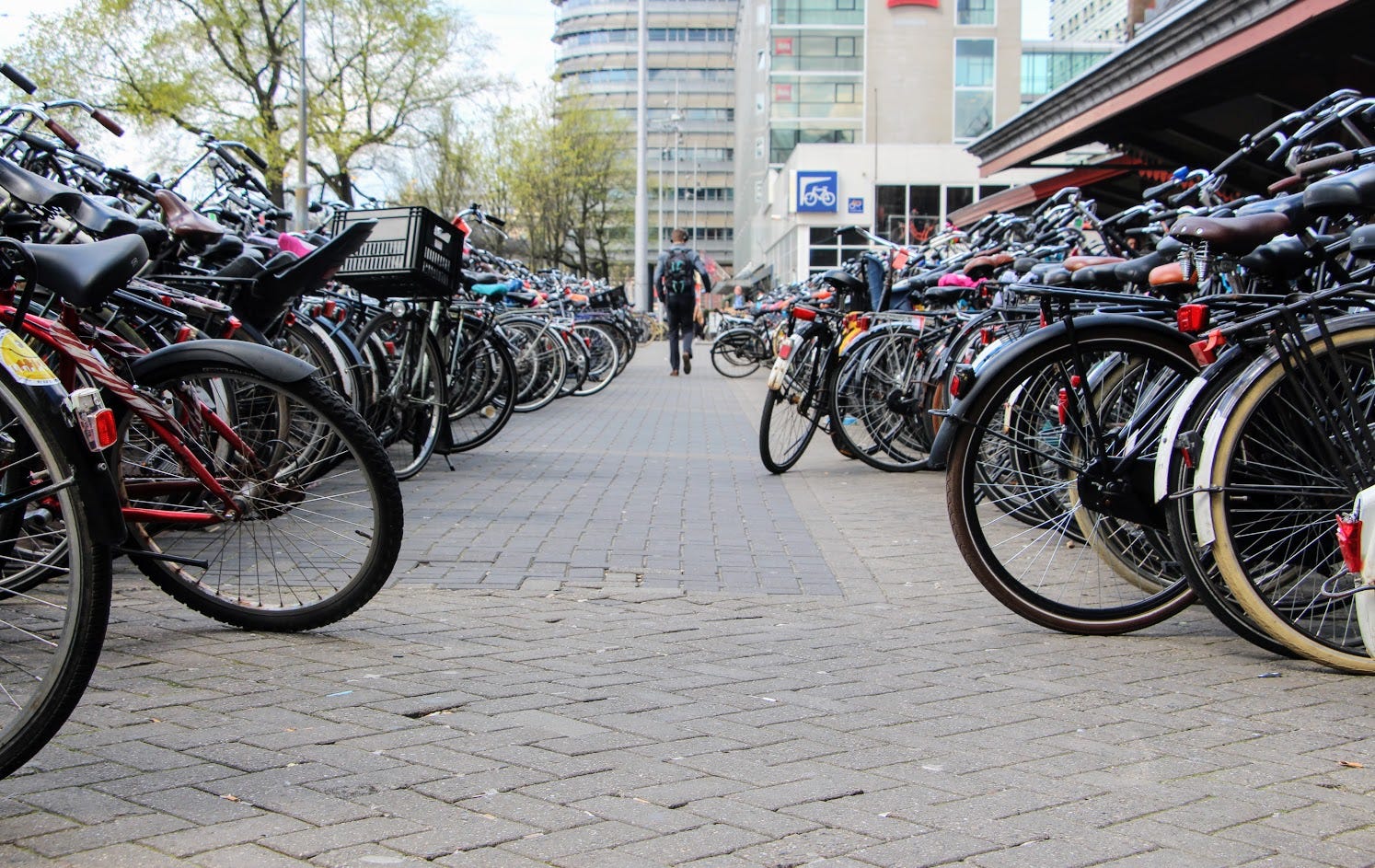 spoke easy bike shop