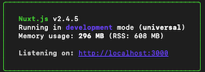 Nuxt development mode