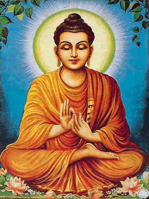 buddha to buddha official site