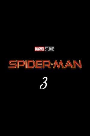 Mega Hd W A T C H Spider Man 3 21 Online Movie For Free By Hy Po Nym H D F Ul L Str E Am Streaming Hyponym 1080p Feb 21 Medium