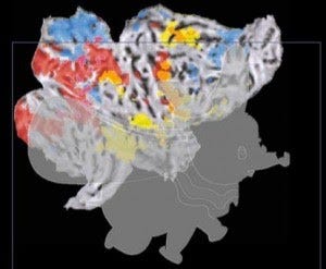 Image for post