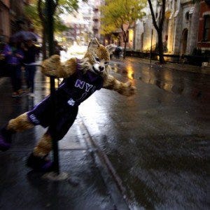 NYU’s Mascot MPD | by NYU Local | NYU Local