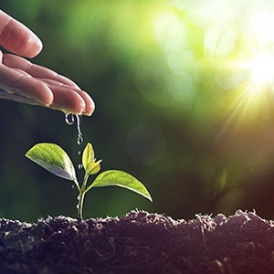 The Golden Advice I Learned From My Life | By Preeti Zende | Medium