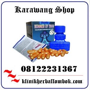 Toko Jual Hammer Di Karawang Bisa Cod 08122231367