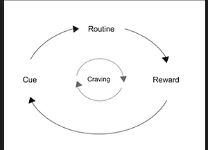 Book notes — The power of habit. Cue-Reward-Routine | by Hanu | Medium