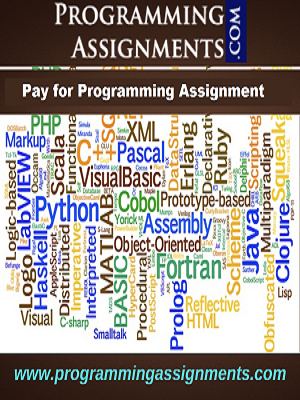 pay for homework programming