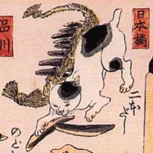 兩隻貓咪轉食的心得(ibd/乾乾控). 家裡有兩隻貓。 最近包含乾乾控都