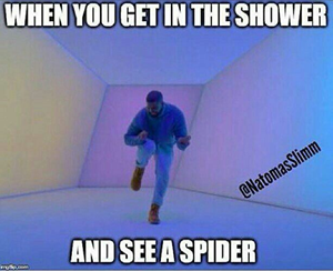 Drake Hotline Bling Meme The Evolution Of Hotline Bling From By Michael Grover Medium Drake Hotline Bling Meme The Evolution Of Hotline Bling From By Michael Grover Medium