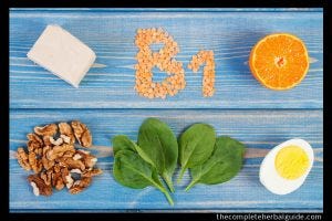 vitamin b1 foods