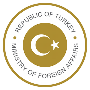 Turkish Electronic Visa Application System | by No Frills Ephesus Tours |  Medium