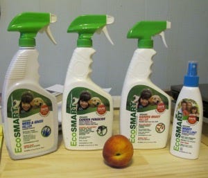 Natural Bug Repellents Melinda Hamby Medium