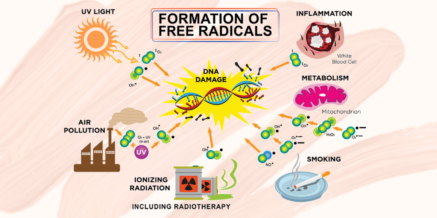 Free Radical formation