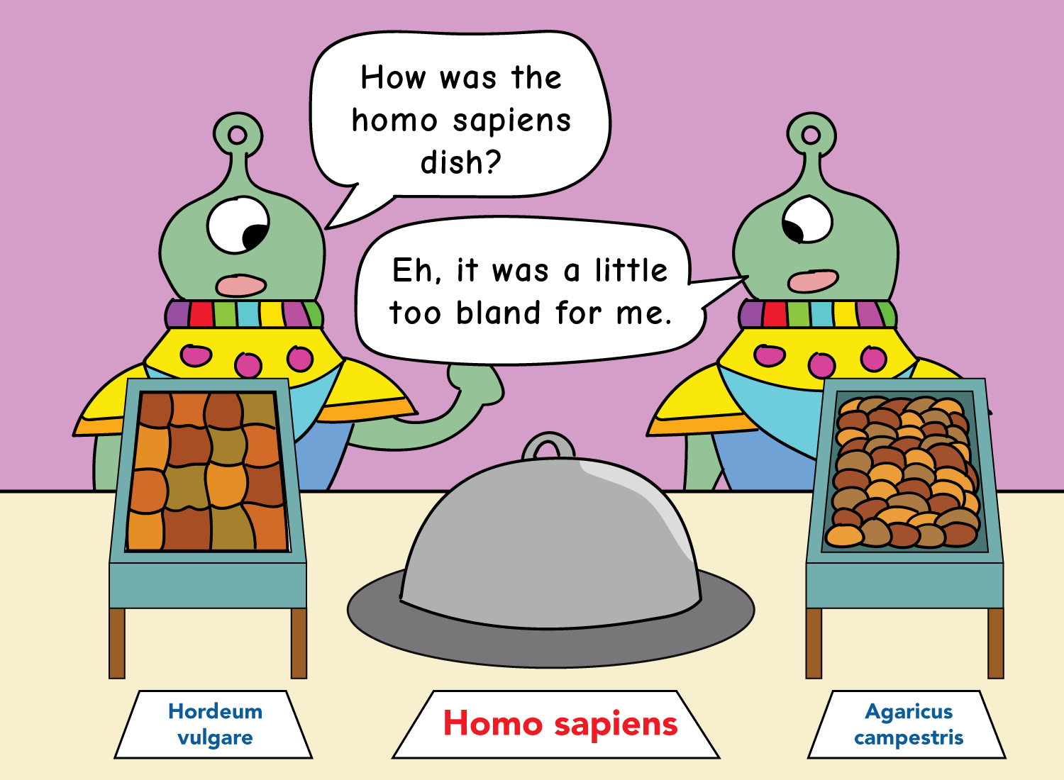 The Meaning Of Life Is Absurd Human Parts
