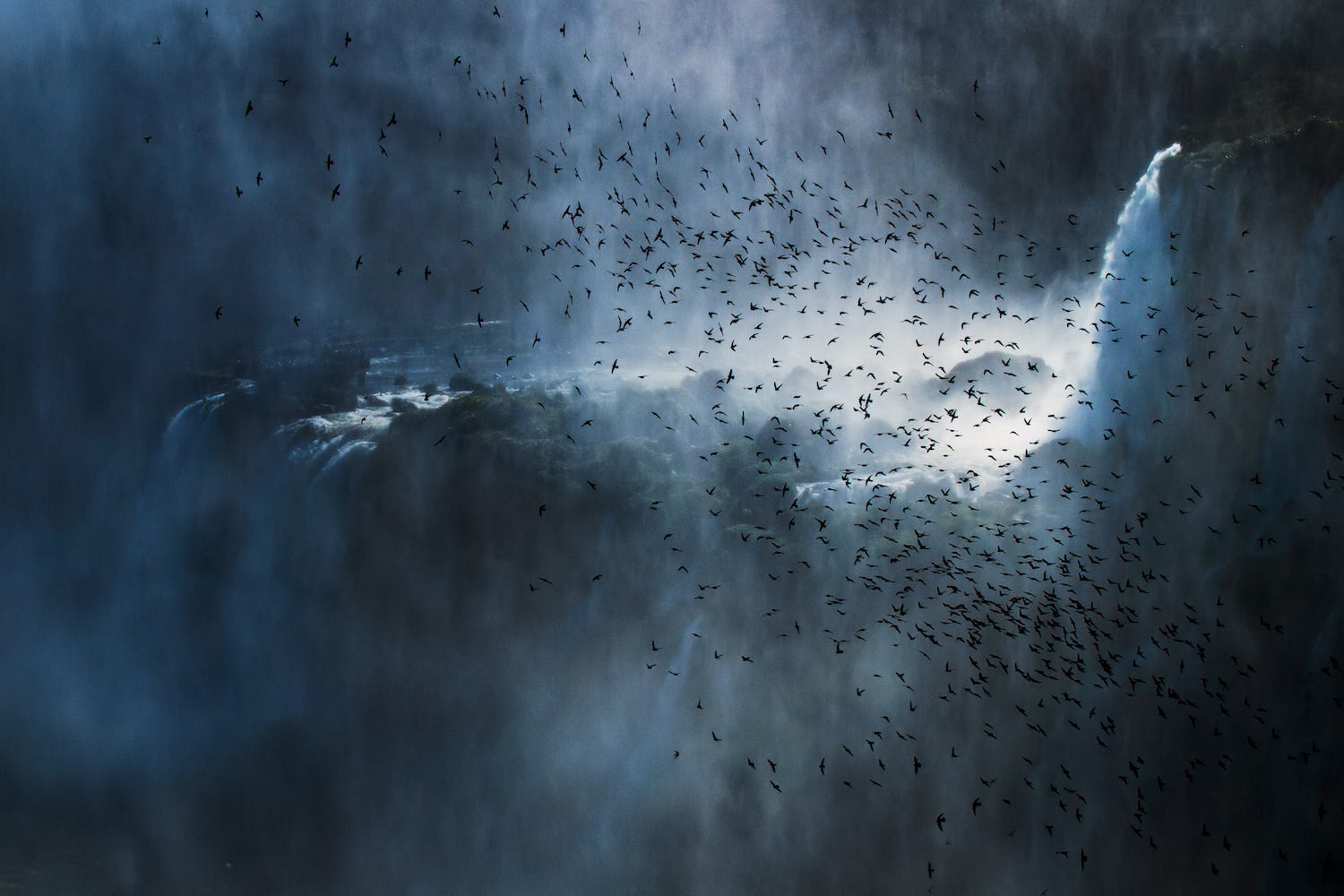 Many Great Dusky Swifts flying above a misty waterfall.