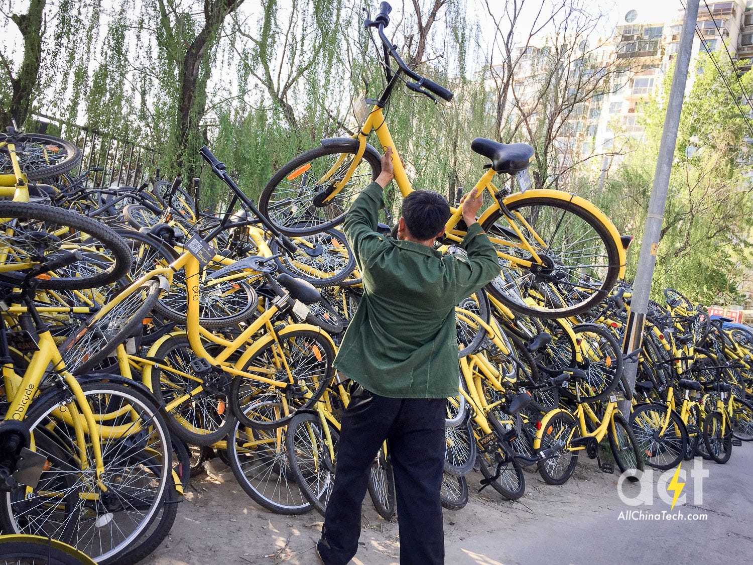 ofo bike rental