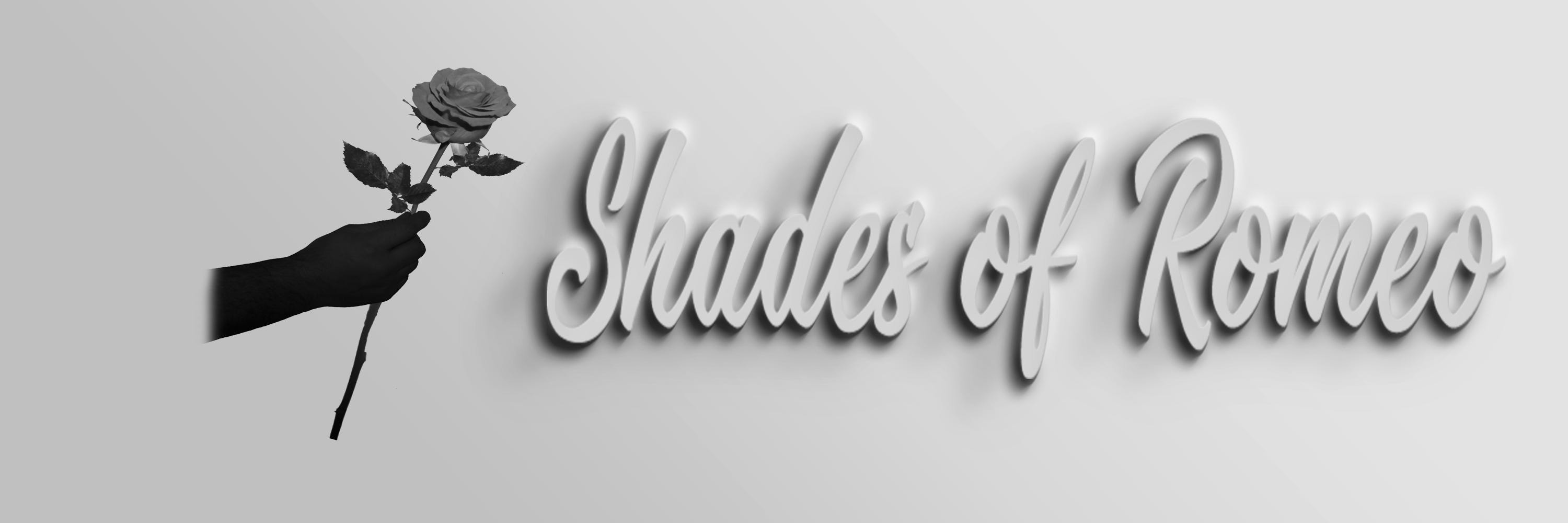 Shades of Romeo — Women clothes brand
