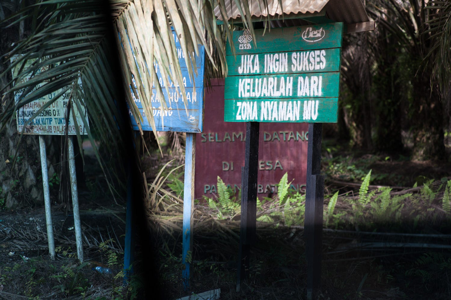 Kerajaan Kecil Sawit Seorang Bupati Di Kalimantan Mengubah By