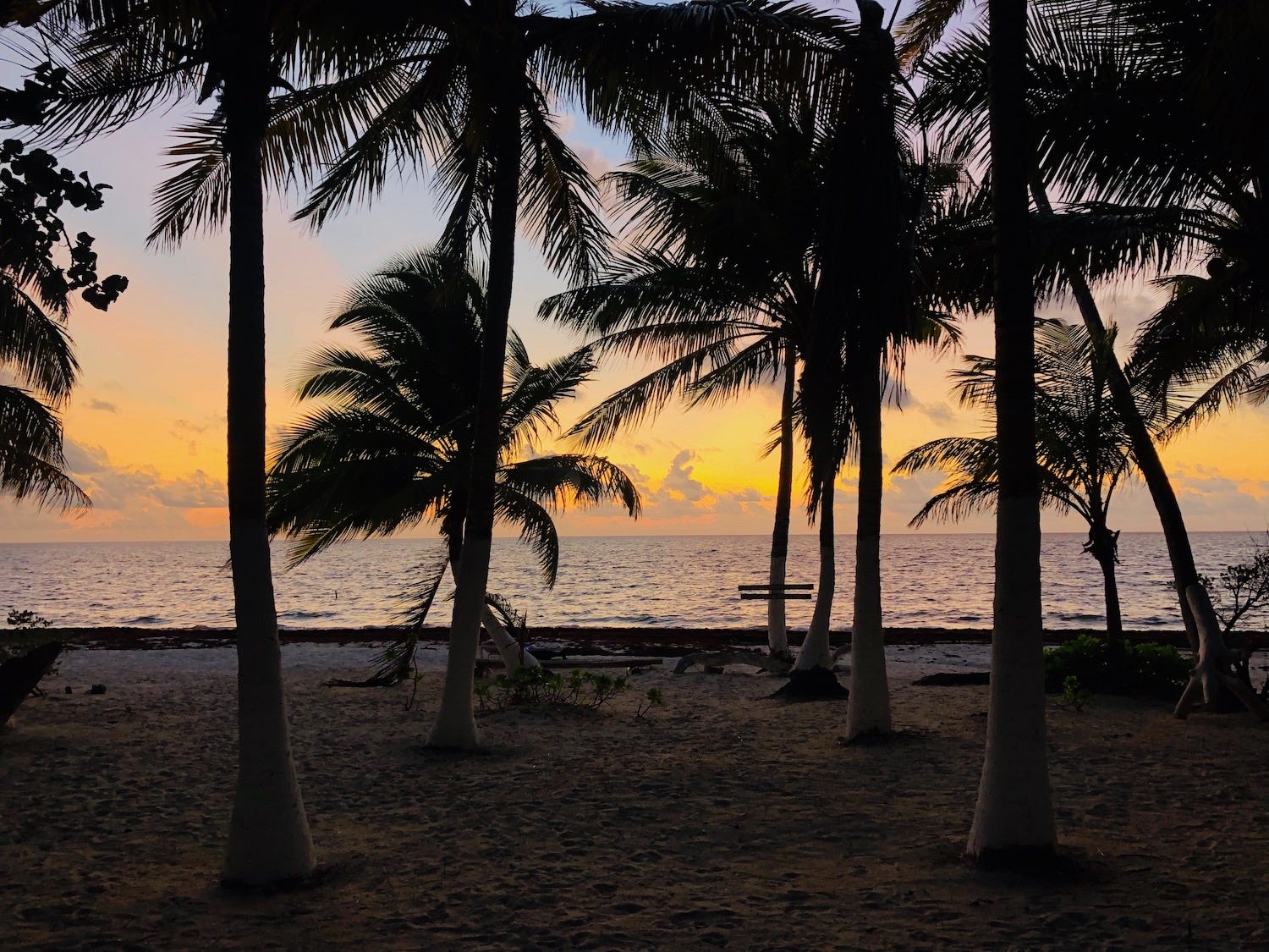 Get Plage cotiere For Android Free