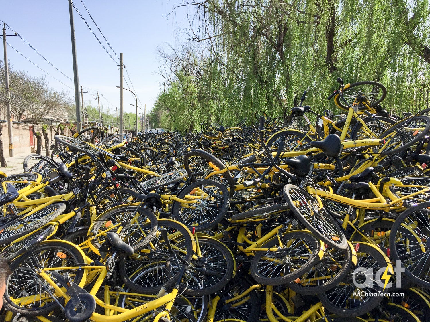 ofo bike