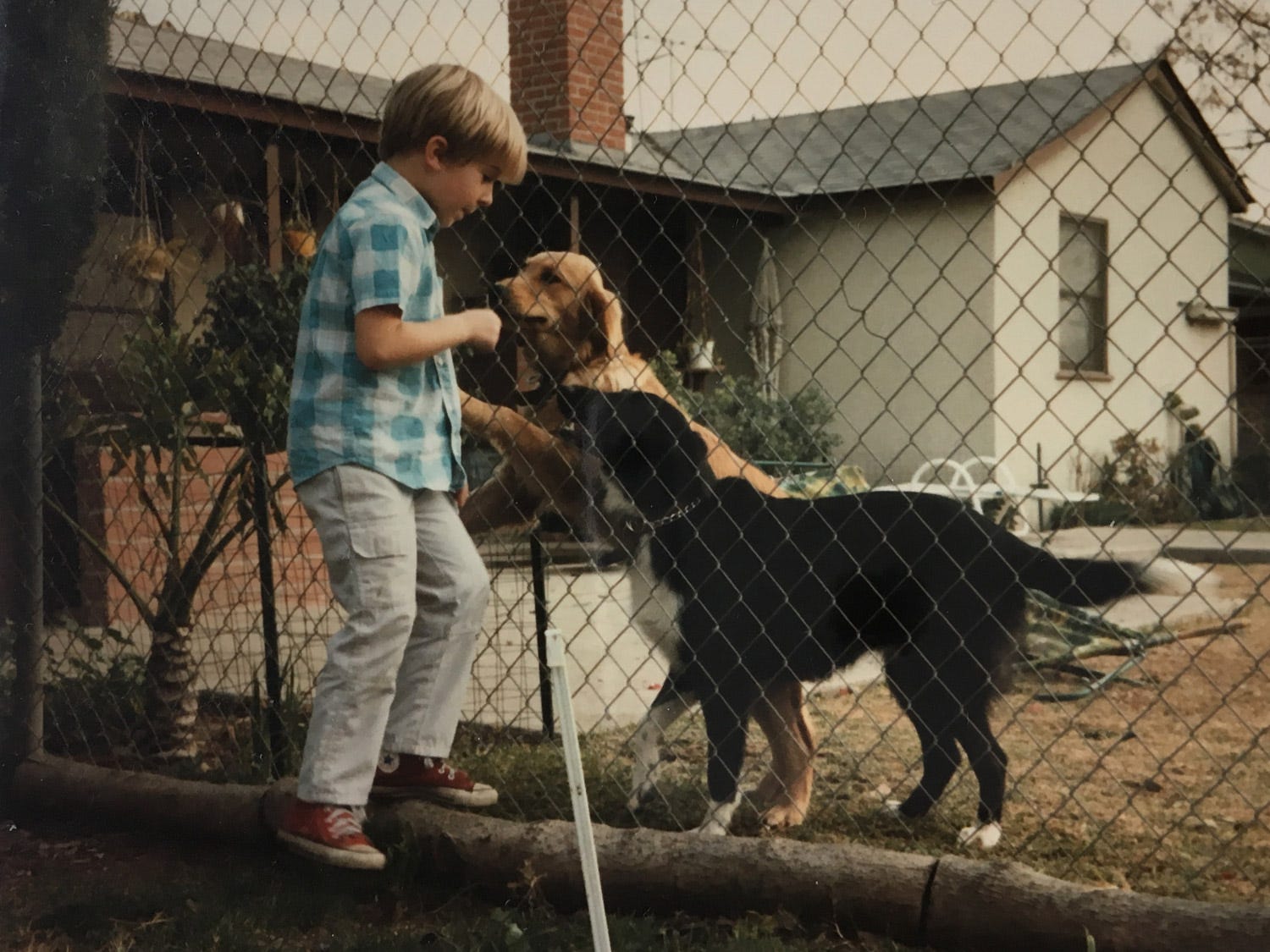 Jehovahs Witnesses A Cult Of Isolation And Fear Ryan M - 