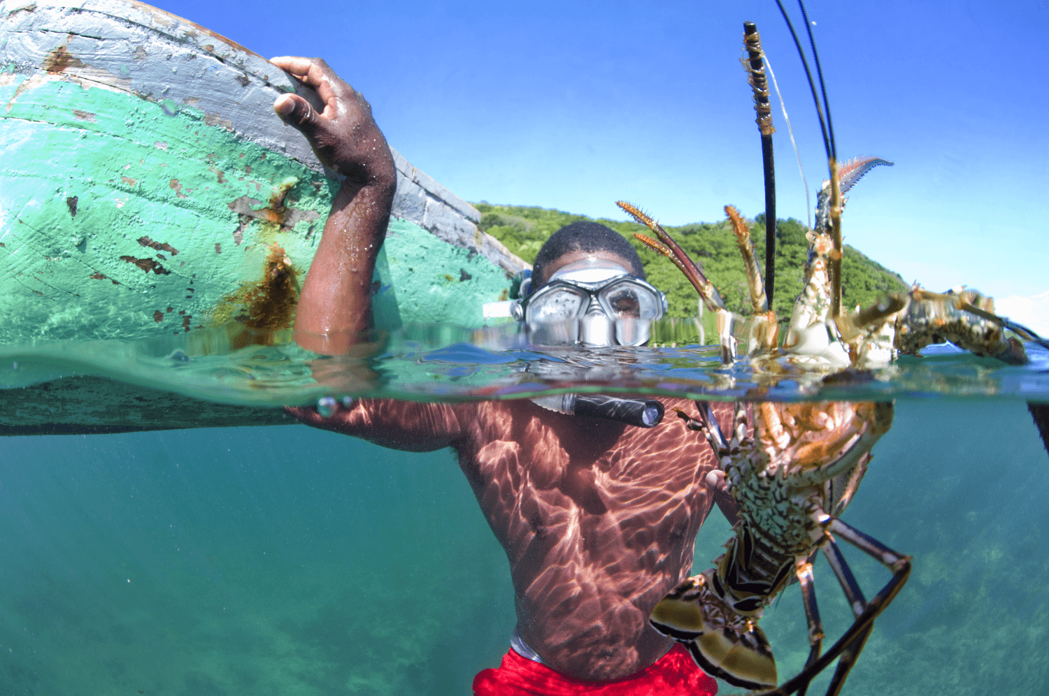A New Approach to Bilingual Marine Conservation Science Education | The