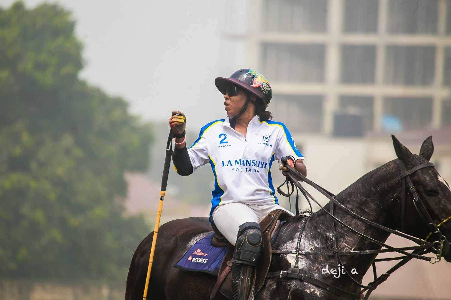 play polo