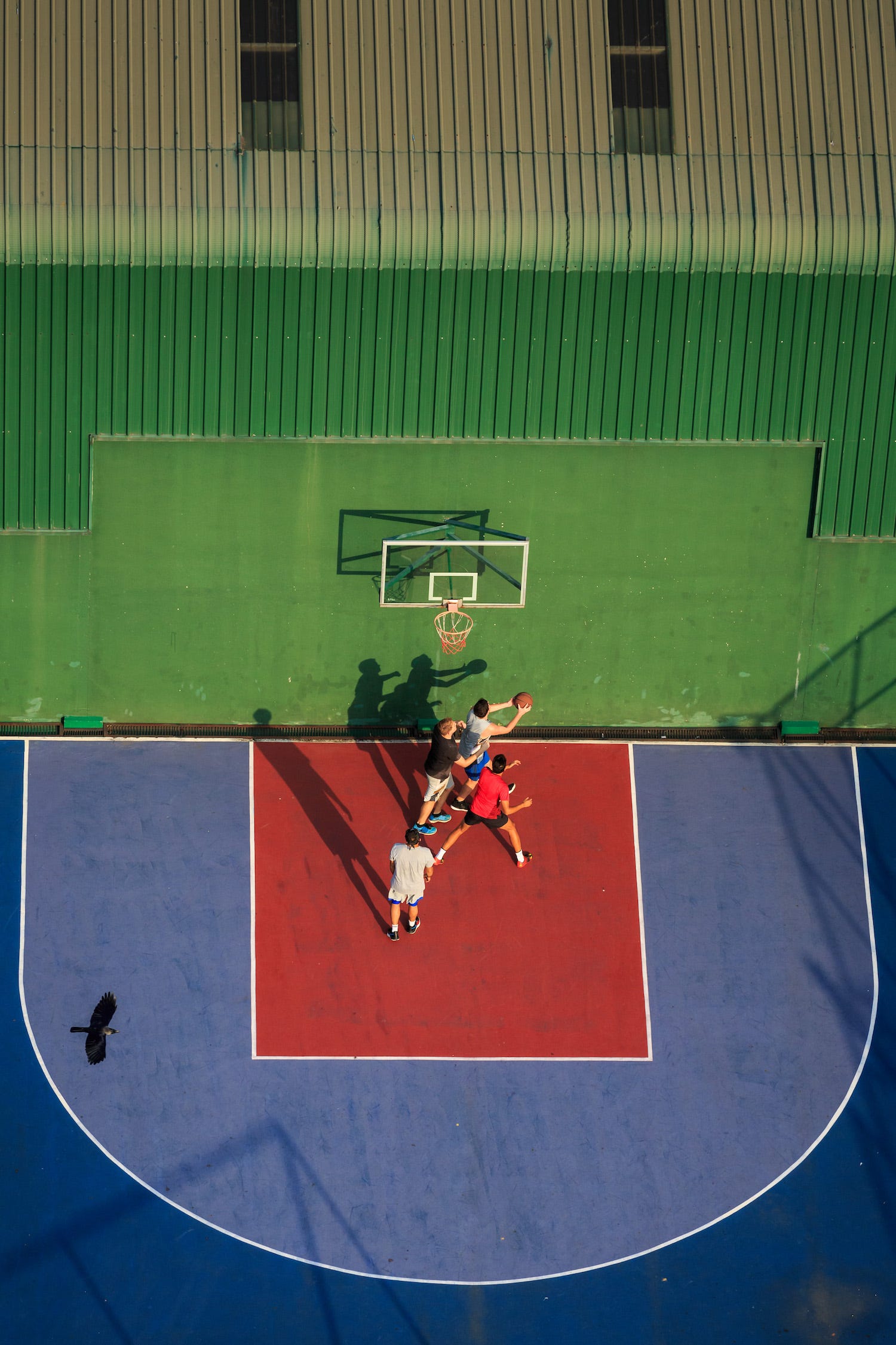 Overhead view of four people playing basketball as a black crow flies in the lower left-hand corner of the photo.