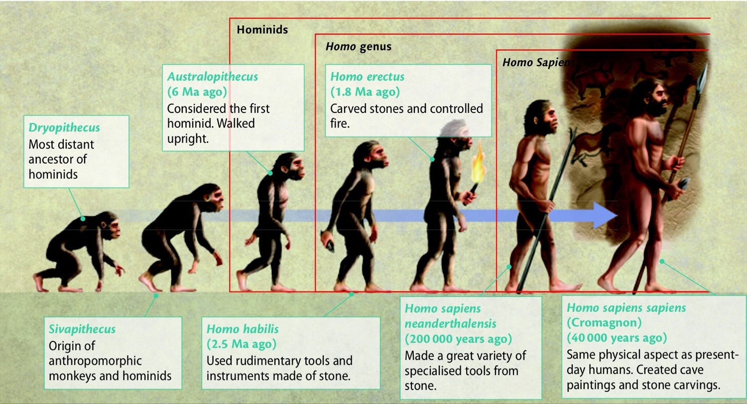 The exciting tale of Sapiens - Manjunath Shivanagi - Medium