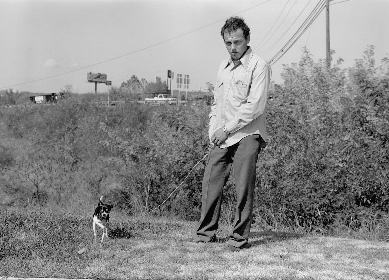 Image result for mark steinmetz photography