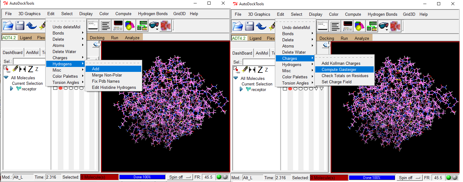 Tutorial Docking Molecular com o AutoDock Tools by Alessandra Neis omixdata Medium