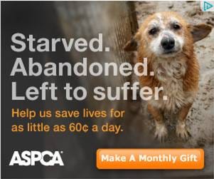 Aspca Tugs At Heartstrings Over The Last Couple Years Millions Of By Jillian Hennig Medium
