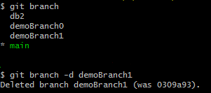 Screenshot of Git command to delete a local branch