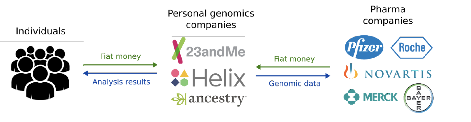 Nebula Genomics Your Genome On The Blockhain A Complete Review By Alex B Healchain Medium