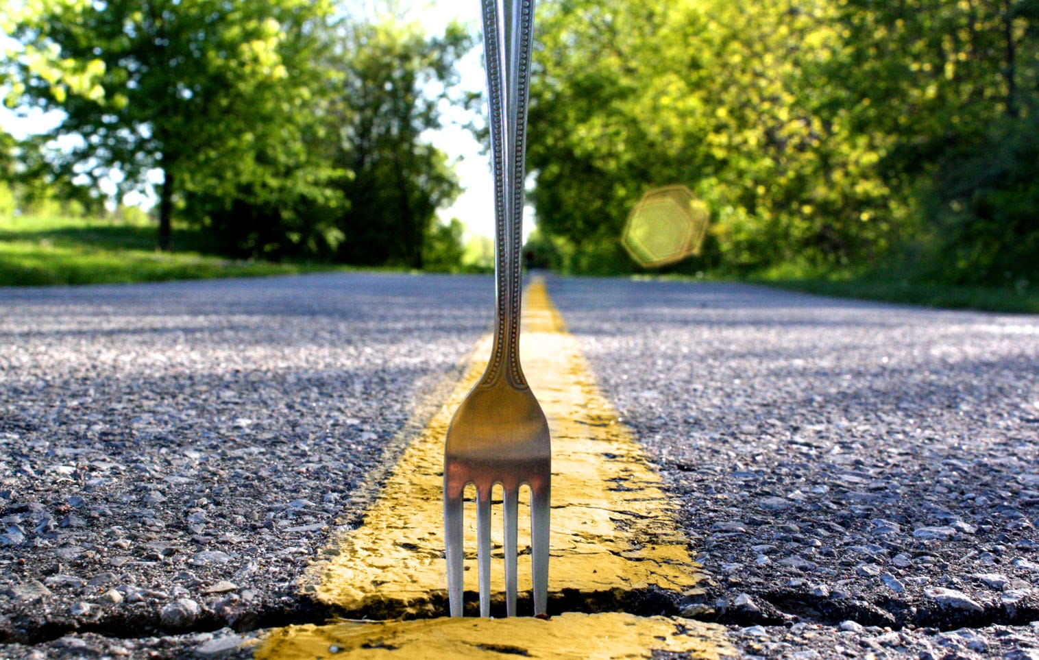road fork