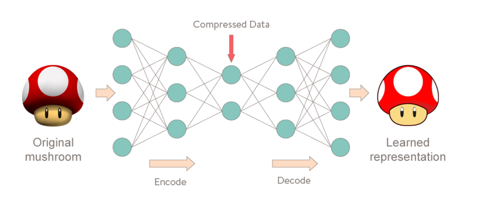 anomaly detection neural network