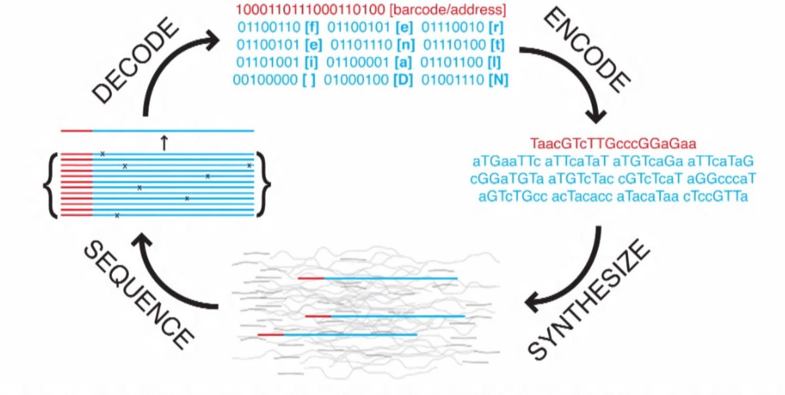 Bacteria new computers! - The Guest - Medium
