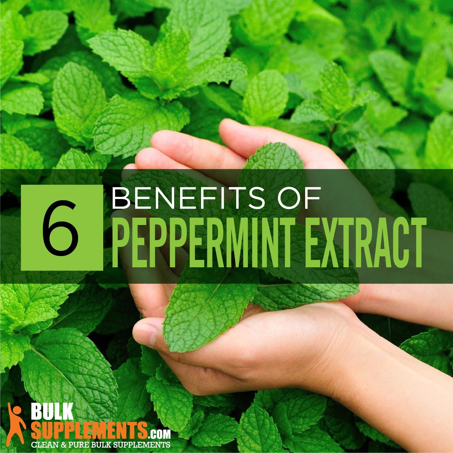 Peppermint Extract Benefits, Side Effects & Dosage BulkSupplements