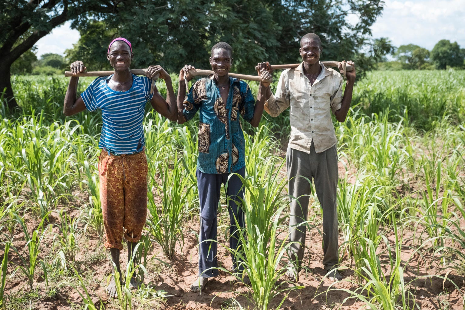 Tackling Malnutrition In Mali. Simple Yet Effective Nutrition… 