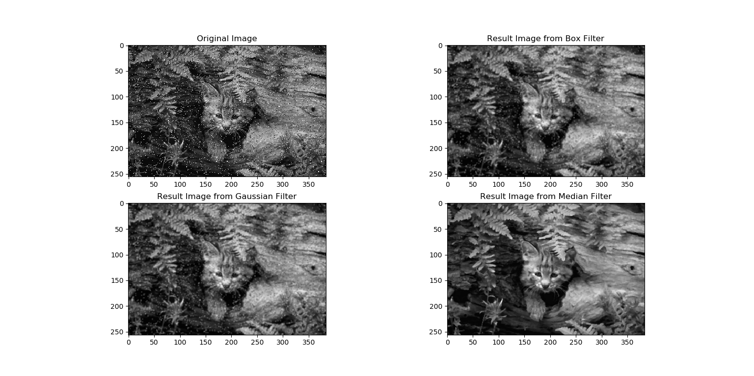 Image Processing Class 4 — Filters by Pitchaya Thipkham Towards