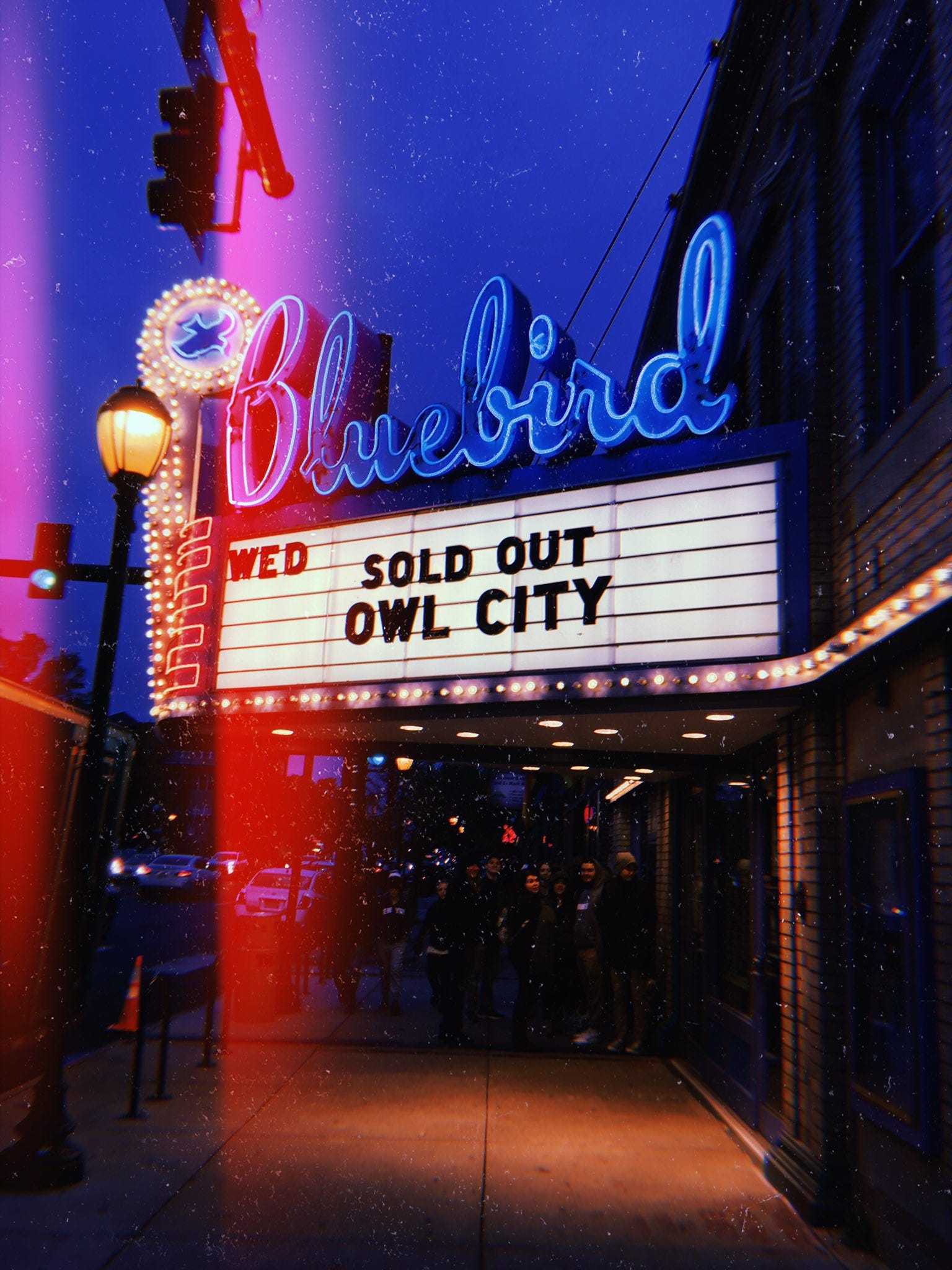 Why Owl City Deserves Far More Respect By Jordan Parrish Birds With Teeth Media Medium