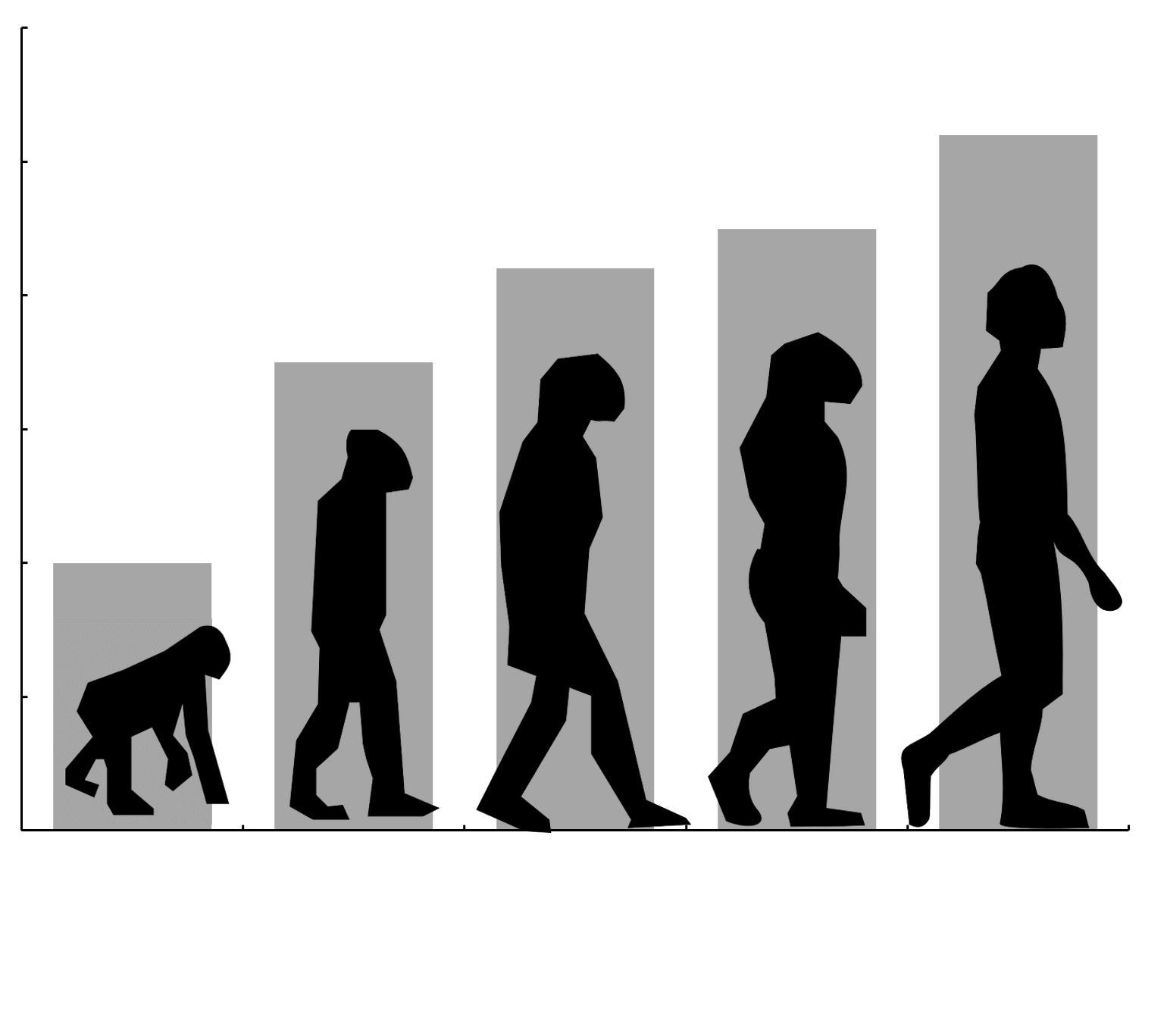 Black And White Evolution Chart