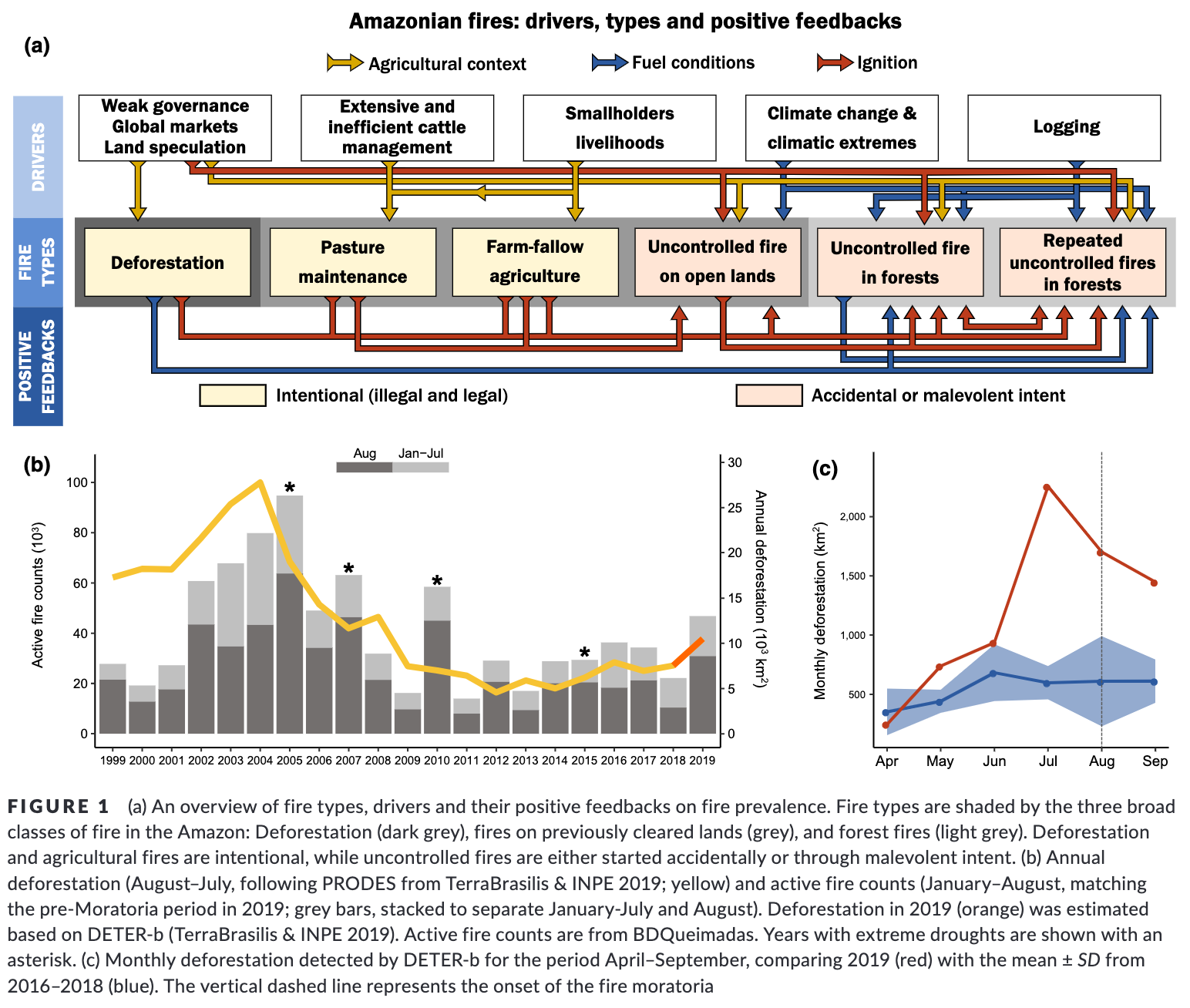 An Analysis Of Amazonian Forest Fires By Matthew Stewart Phd Researcher Towards Data Science An Analysis Of Amazonian Forest Fires By Matthew Stewart Phd Researcher Towards Data Science