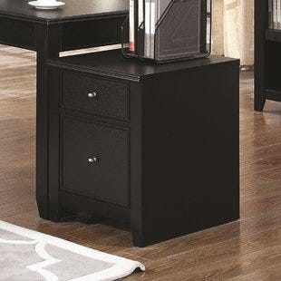 Kopp 2 Drawer Mobile Lateral Filing Cabinet By Winston Porter Onsales Discount Prices By Ramona Medium
