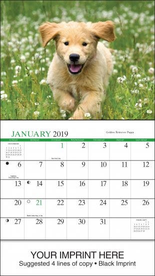 Baby Animal Calendars An Adorable Theme For Calendars By Lauder Company Medium Baby Animal Calendars An Adorable Theme For Calendars By Lauder Company Medium