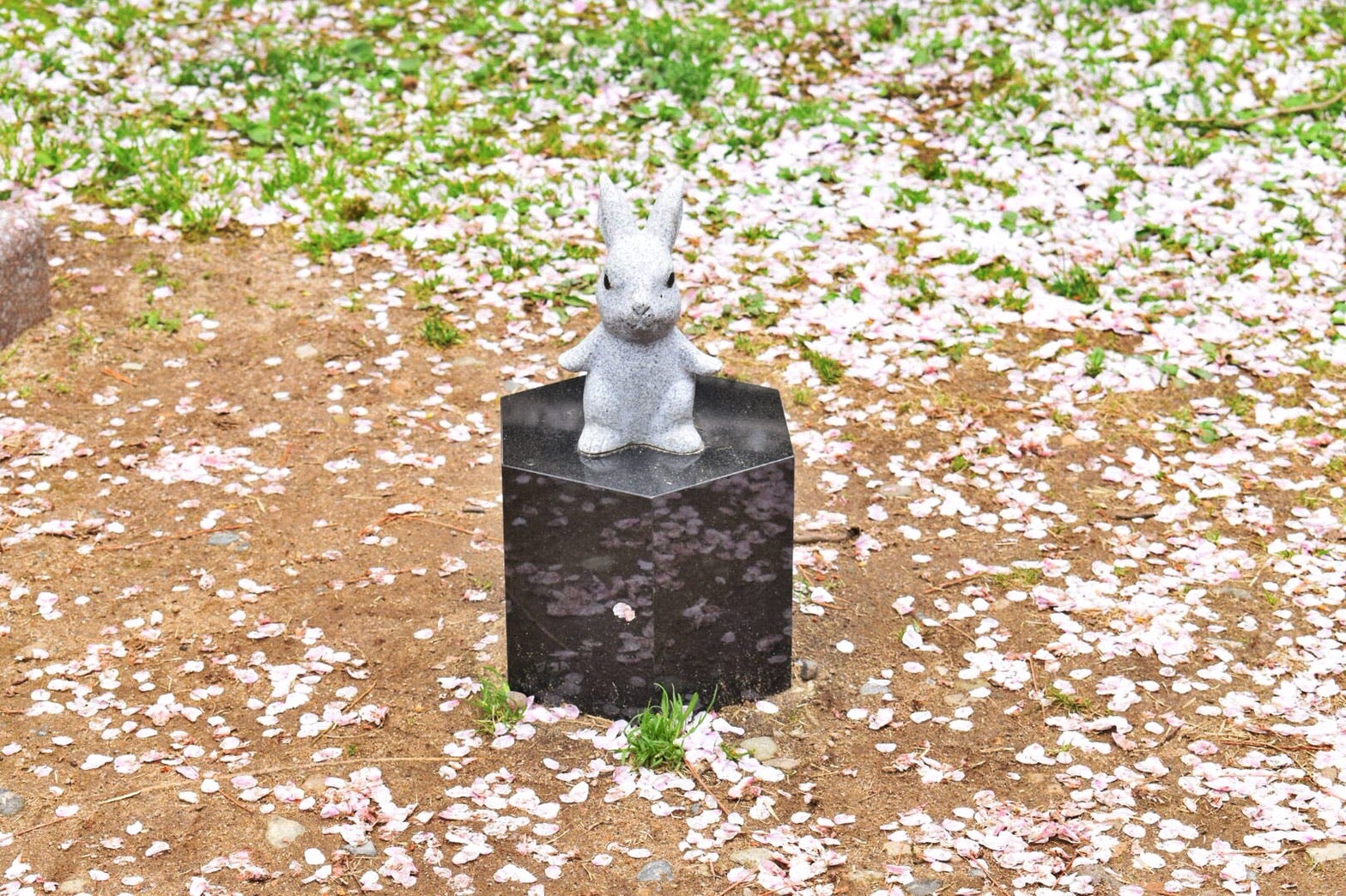 うさぎマニアは必見 出雲大社 出雲大社といえば 古事記の 因幡の白兎 で有名ですが まさかこんなにうさぎの像が By Remi Nakata Medium うさぎマニアは必見 出雲大社 出雲大社といえば 古事記の 因幡の白兎 で有名ですが まさかこんなにうさぎの像が By Remi Nakata Medium